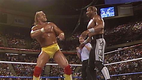 Wrestling World Banishes Hulk Hogan From Its History Over