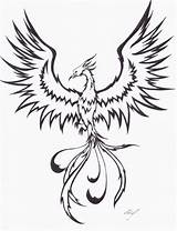 Phoenix Tattoo Bird Drawing Pheonix Draw Drawings Tribal Fire Deviantart Birds Mythical sketch template