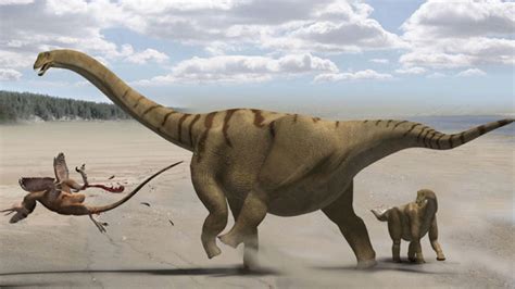 scientists  discovered    remains   antarctic sauropod