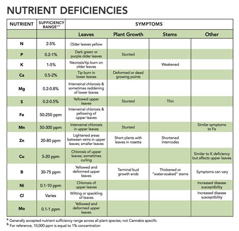 understanding plant nutrition  deficiency rx green technologies