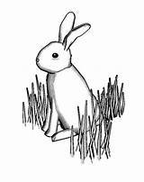 Coloring Rabbit Bunny Pages Grass Standing Drawing Color Snowshoe Getcolorings Getdrawings sketch template