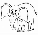 Elefante Felice Selva Acolore sketch template