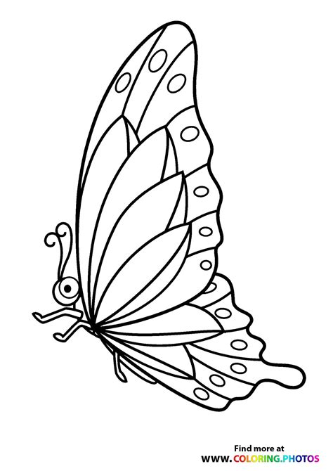 butterfly  beautiful wings coloring pages  kids