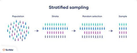 stratified sampling  step  step guide  examples