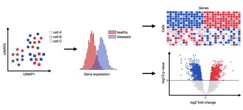 differential gene expression analysis single cell  practices