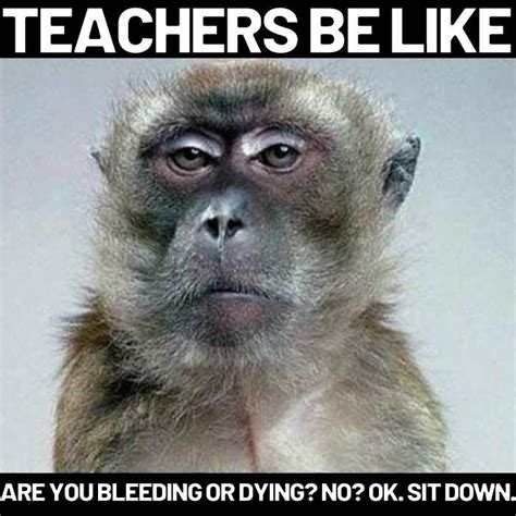 Funny Teachers Be Like Memes 9 Best Relatable Teaching Memes