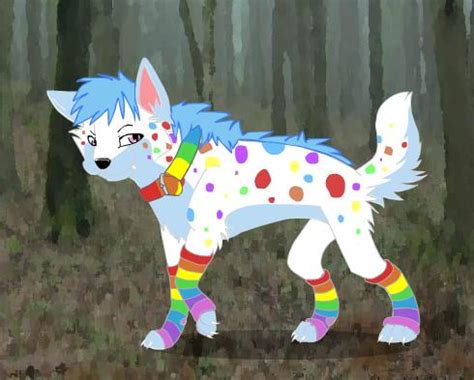 rainbow wolf  kitsuneprincess  deviantart