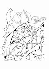 Coloriage Oiseau Perroquets Hugolescargot sketch template