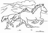 Cheval Chevaux Mignon Horses Trop Ordinateur Animaux Pinto Catégorie Coloringhome Getdrawings sketch template