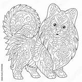 Pomeranian Coloring Dog Chinese Year Zentangle Adult Drawing Symbol Sketch Freehand Colouring Stylized Book Antistress Doodle Elements Getdrawings Dreamstime Comp sketch template