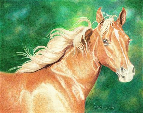 draw  horse  colored pencils step  step drawing tutorial