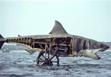 lost  history  twitter shark film history scene photo