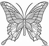 Papillon Insecte Jolis Motifs Imprimer sketch template