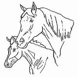 Caballos Imprimir Cavalli Ausmalbilder Cavalos Pferde Coloriage Chevaux Cavallo Colorir Animali Stampare Caballo Konji Dessin Playmobil Cheval Colorea Konja šest sketch template