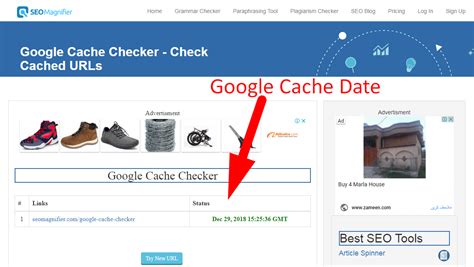 google cache checker check cached urls seo magnifier