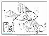 Coloring Fish Pages Animal Tuna Realistic Printable Wildlife Clipart Color Getcolorings Puffer Koi Slippery Worksheets Printouts Mazes Addition Library Line sketch template