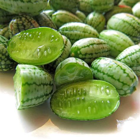 cucamelonmouse melon heirloom seeds terroir seeds