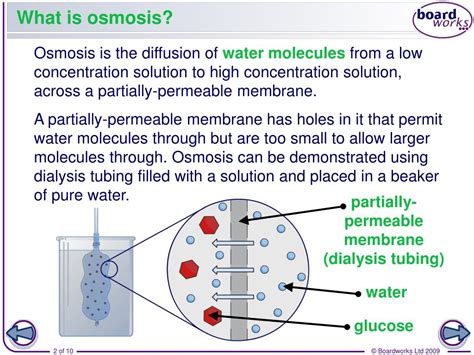 osmosis powerpoint    id