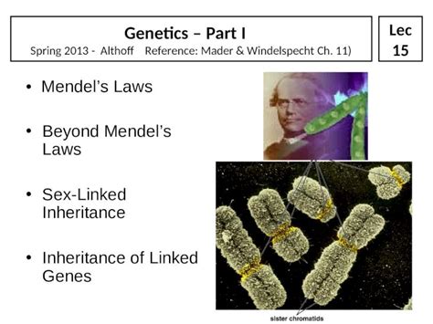 Ppt Mendels Laws Beyond Mendels Laws Sex Linked Inheritance