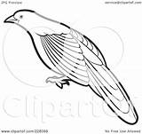 Coucal Bird Outline Coloring Clipart Billed Illustration Green Royalty Perera Lal Clip Rf Kookaburra Template 2021 sketch template
