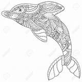 Coloring Pages Spirit Dolphin Animal Adult Zentangle Getdrawings Stress Drawing Color Getcolorings sketch template