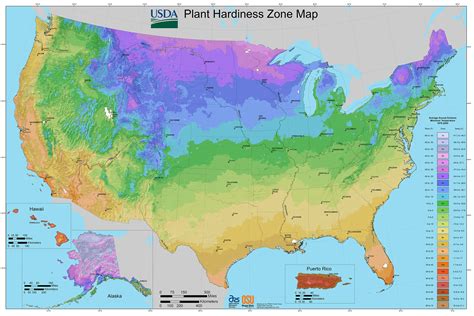 plant hardiness zone map   green world