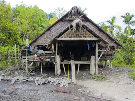 rumah uma adat mentawai budaya indonesia