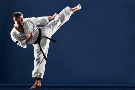 Karate Definition And Meaning Collins English Dictionary