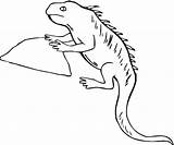 Reptiles Coloring Pages Reptile Kids sketch template
