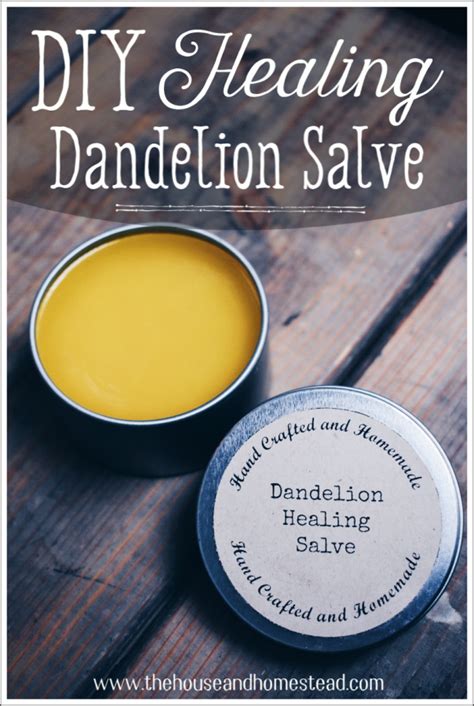 diy dandelion salve  healing  house homestead recipe