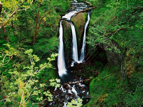 vacker vattenfall natur skog bakgrundsbild ladda ner skrivbordsbilder
