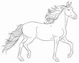Pferde Ausmalbilder Schleich Rocks Arabian Wild sketch template