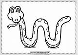 Serpiente Coloring Serpientes Rincondibujos Las Láminas sketch template