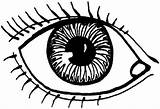 Coloring Pages Eye Print Eyes Kids Learn Used sketch template
