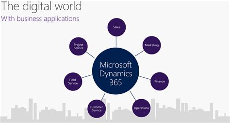 introducing microsoft dynamics  xrm