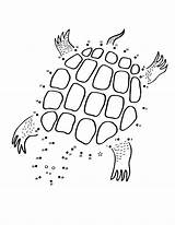 Dot Turtle Dots Coloring Pages Printable Categories Ninja sketch template
