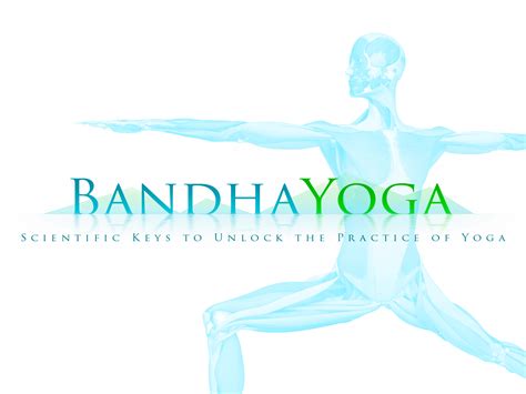 anatomy yoga poses