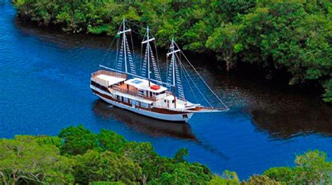 brazil amazon cruises amazon river cruises
