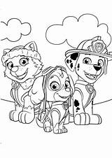 Coloring Everest Skye Marshall Pages Patrol Paw Supercoloring Categories Printable sketch template