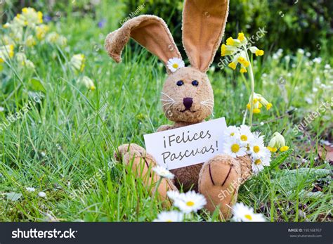 spanish easter card easter bunny daisieshappy stock photo