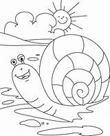 Snail Coloring Pages Sun Falling Gary Rising Kids Getcolorings Cp Print Printable sketch template