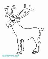 Elk Getdrawings Antlers Drawing sketch template