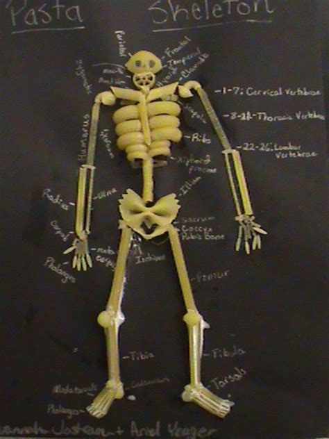 grade  human body lesson  skeletal system ms palmers classroom