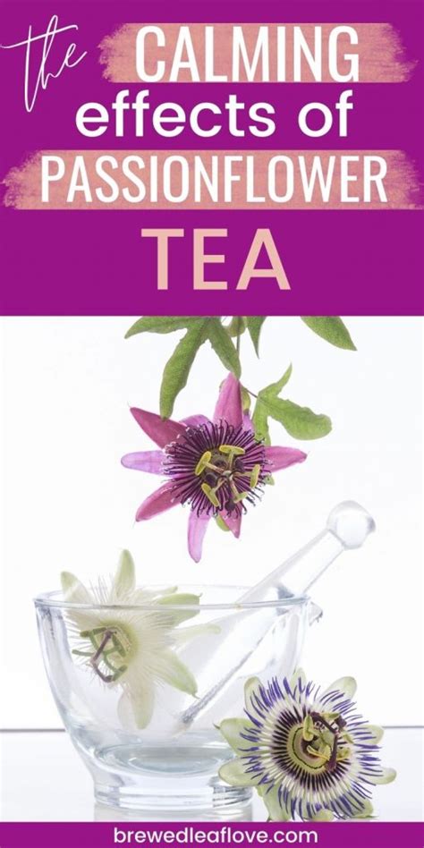 Passion Flower Tea Benefits And Side Effects Best Flower Site