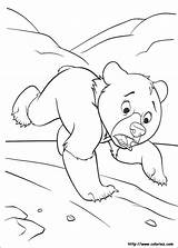 Bear Coloring Brother Pages Koda Running Disney Little Walt Fanpop Characters Cartoon Printable Colorier Tweet Ours Coloriage Des Categories sketch template