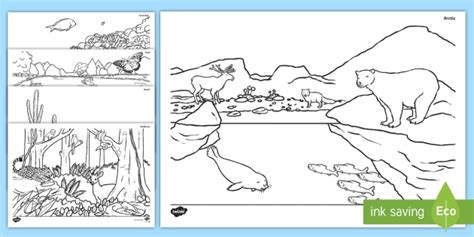 animals habitat scenes colouring pages teacher
