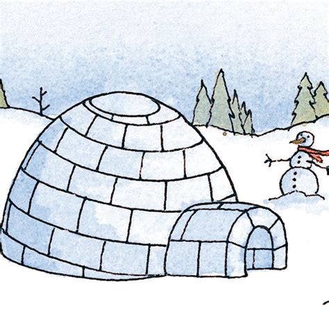 build  igloo   steps winter fun  england today