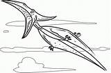 Pteranodon Pterodactyl Pterodactylus Dinosauri Pteranodonte Colorir Volador Raiva Stampare Tudodesenhos sketch template