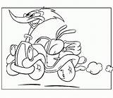 Woody Woodpecker Pages Coloring Colouring Print Picolour sketch template
