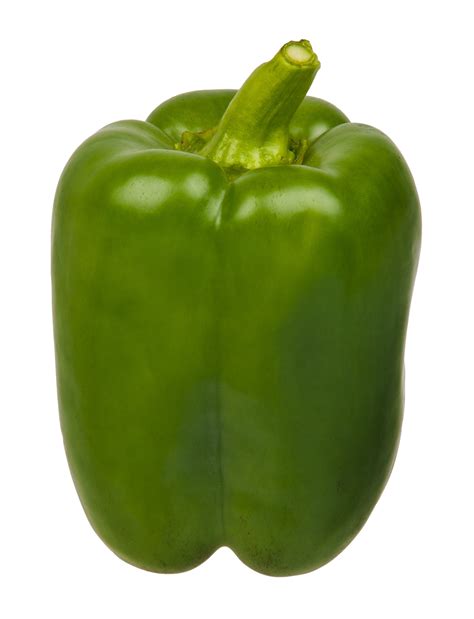 capsicum green